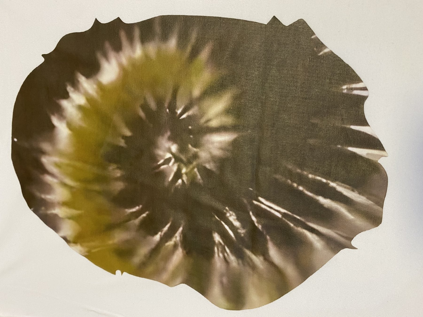 BAPE Tie-Dye Ape-Head Graphic T-Shirt — detail