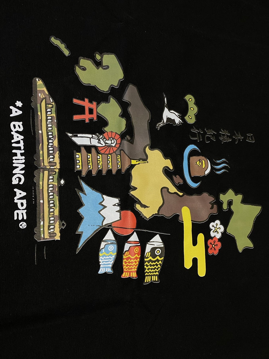 BAPE Japan Map Graphic T-Shirt — detail