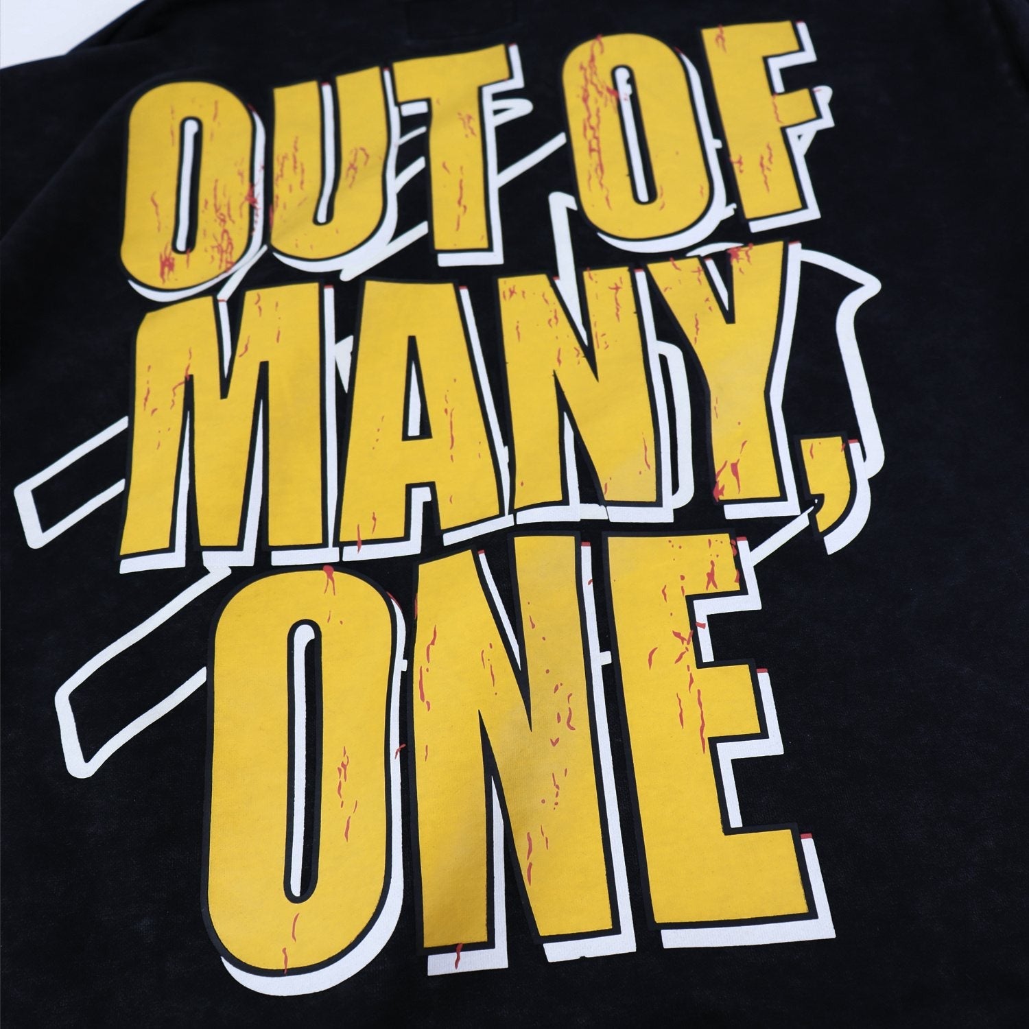 Godspeed Out of Many One Graphic Hoodie — detail