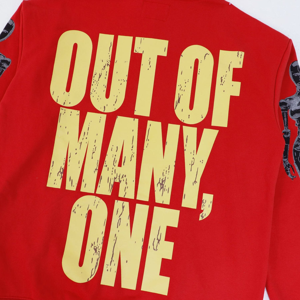 Godspeed Out of Many One Graphic Hoodie — back