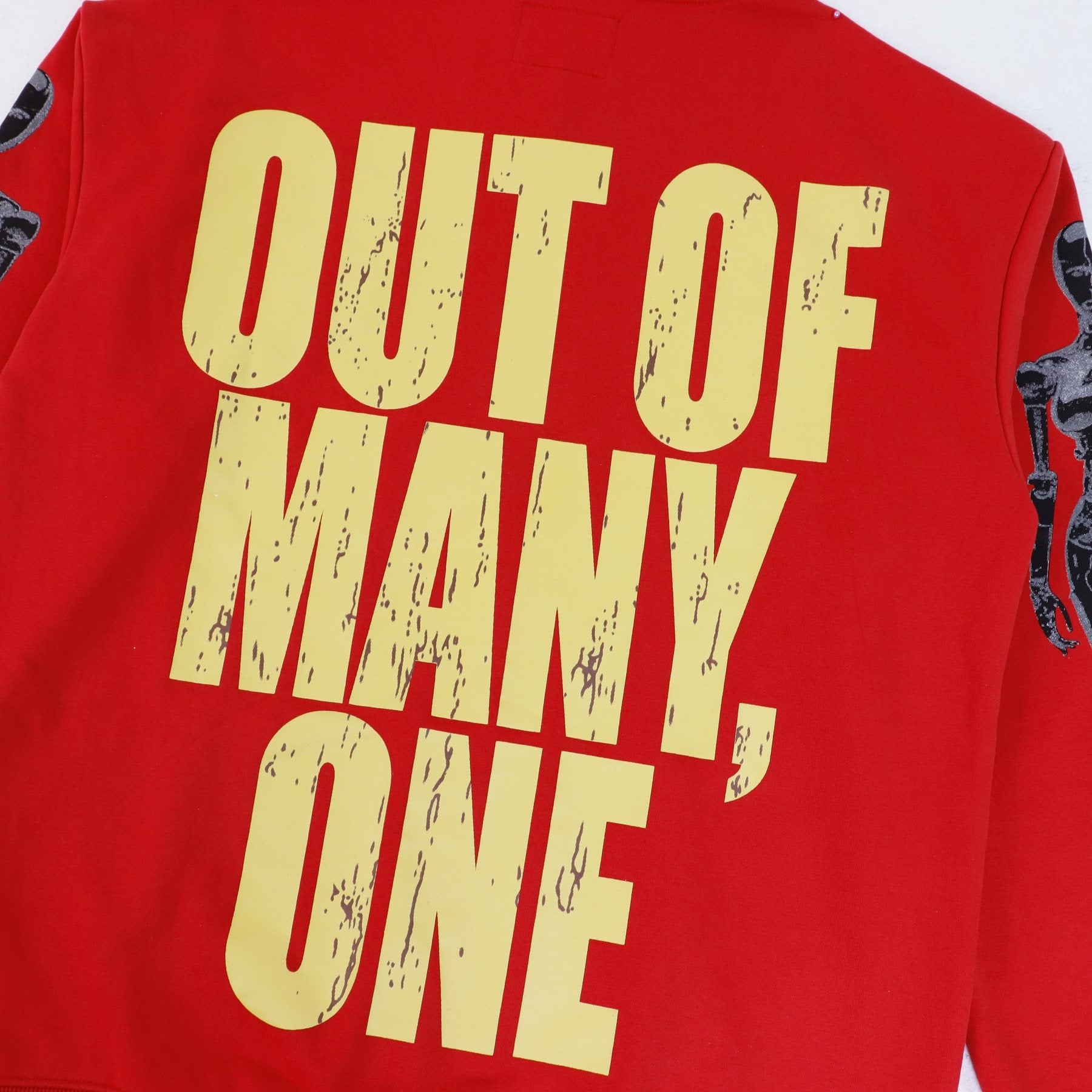 Godspeed Out of Many One Graphic Hoodie — back