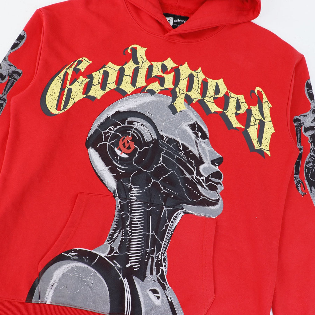 Godspeed Out of Many One Graphic Hoodie — detail