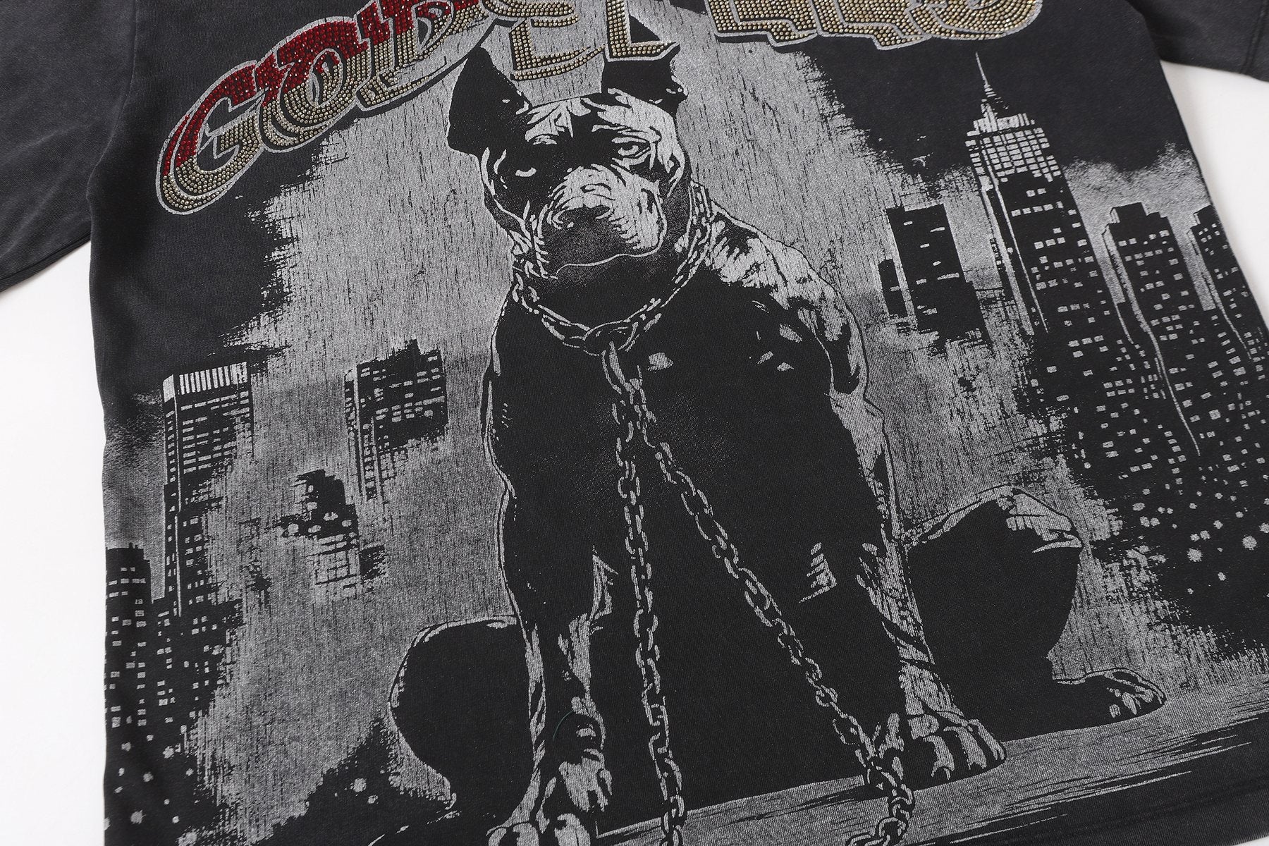 Godspeed Dog Graphic Distressed Sleeve T-Shirt — detail