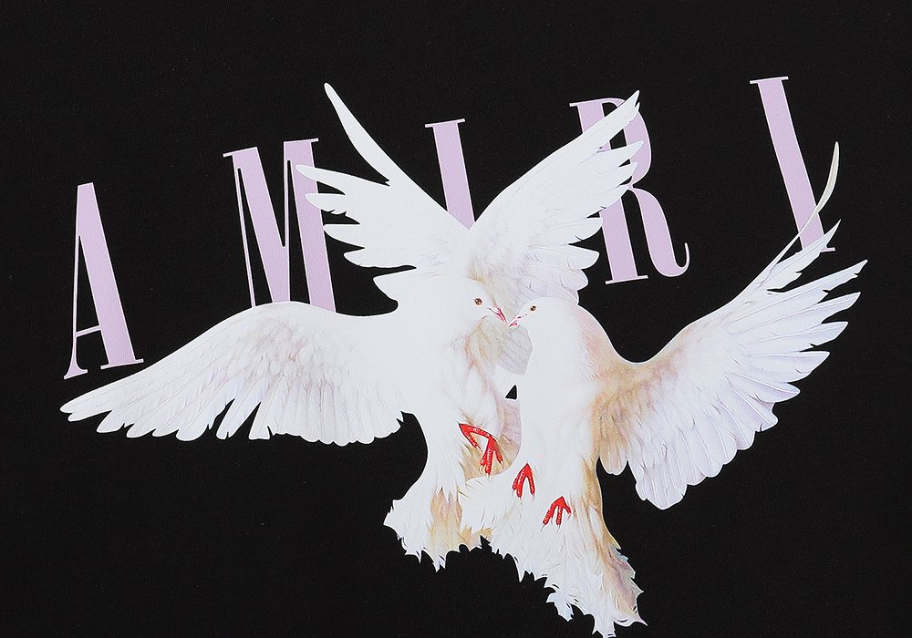 AMIRI Dove Graphic Short-Sleeve T-Shirt — detail