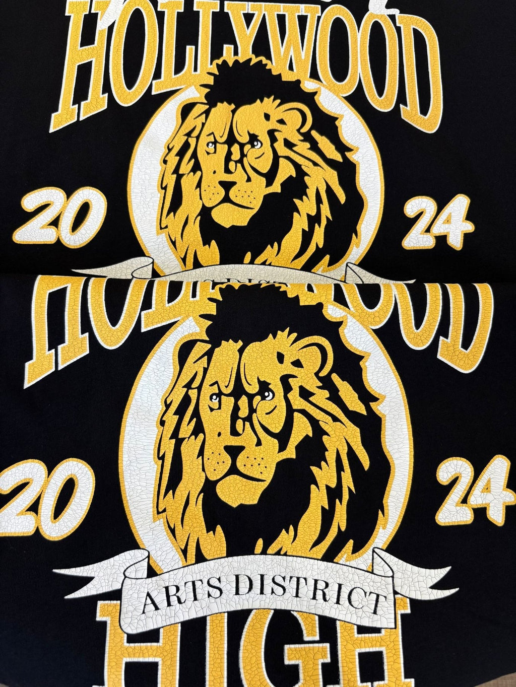 AMIRI Lion & Letter Graphic Short-Sleeve T-Shirt — detail