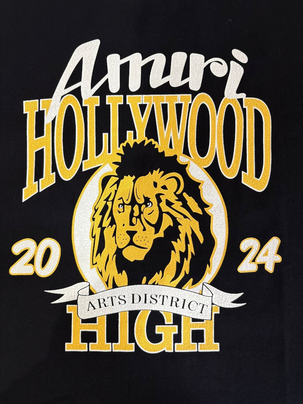 AMIRI Lion & Letter Graphic Short-Sleeve T-Shirt — detail