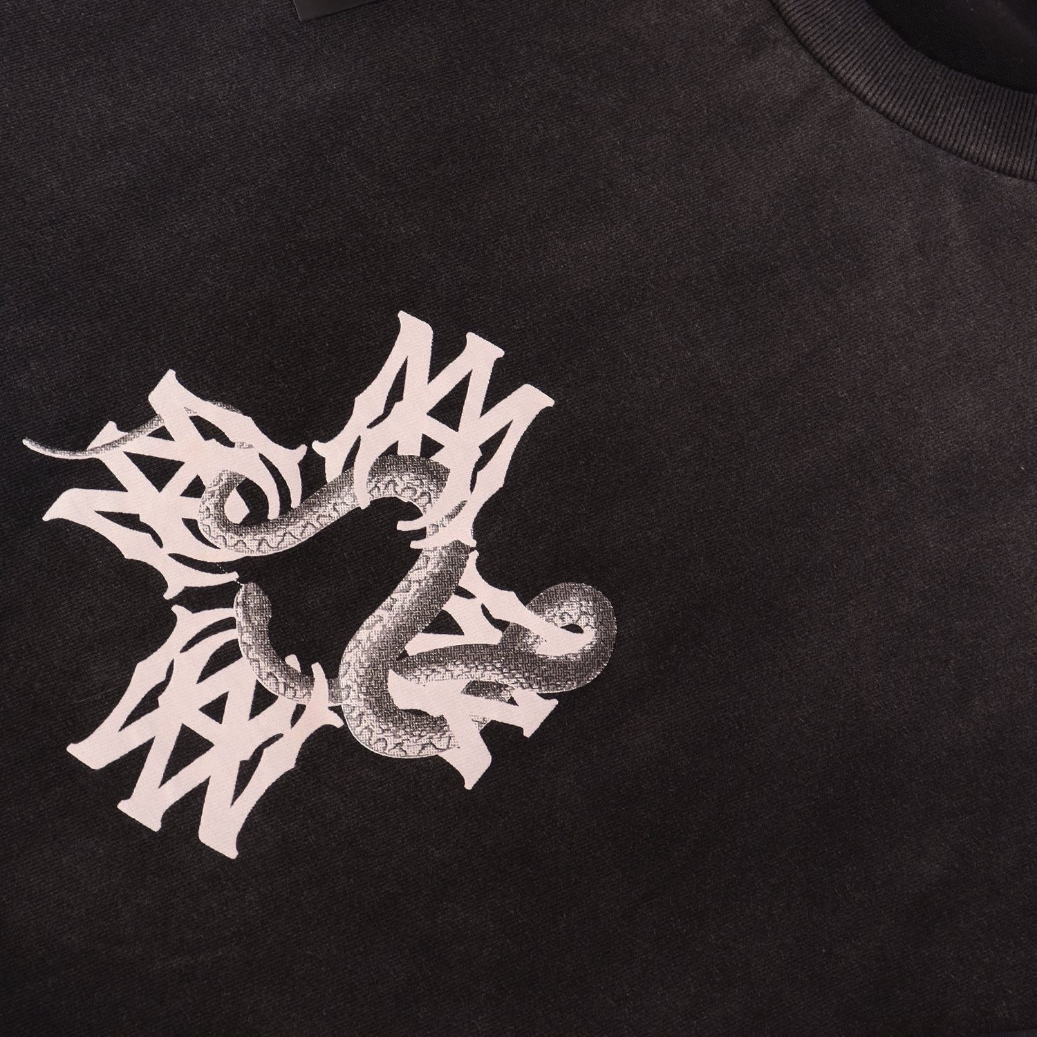AMIRI Snake Graphic Washed T-Shirt — detail