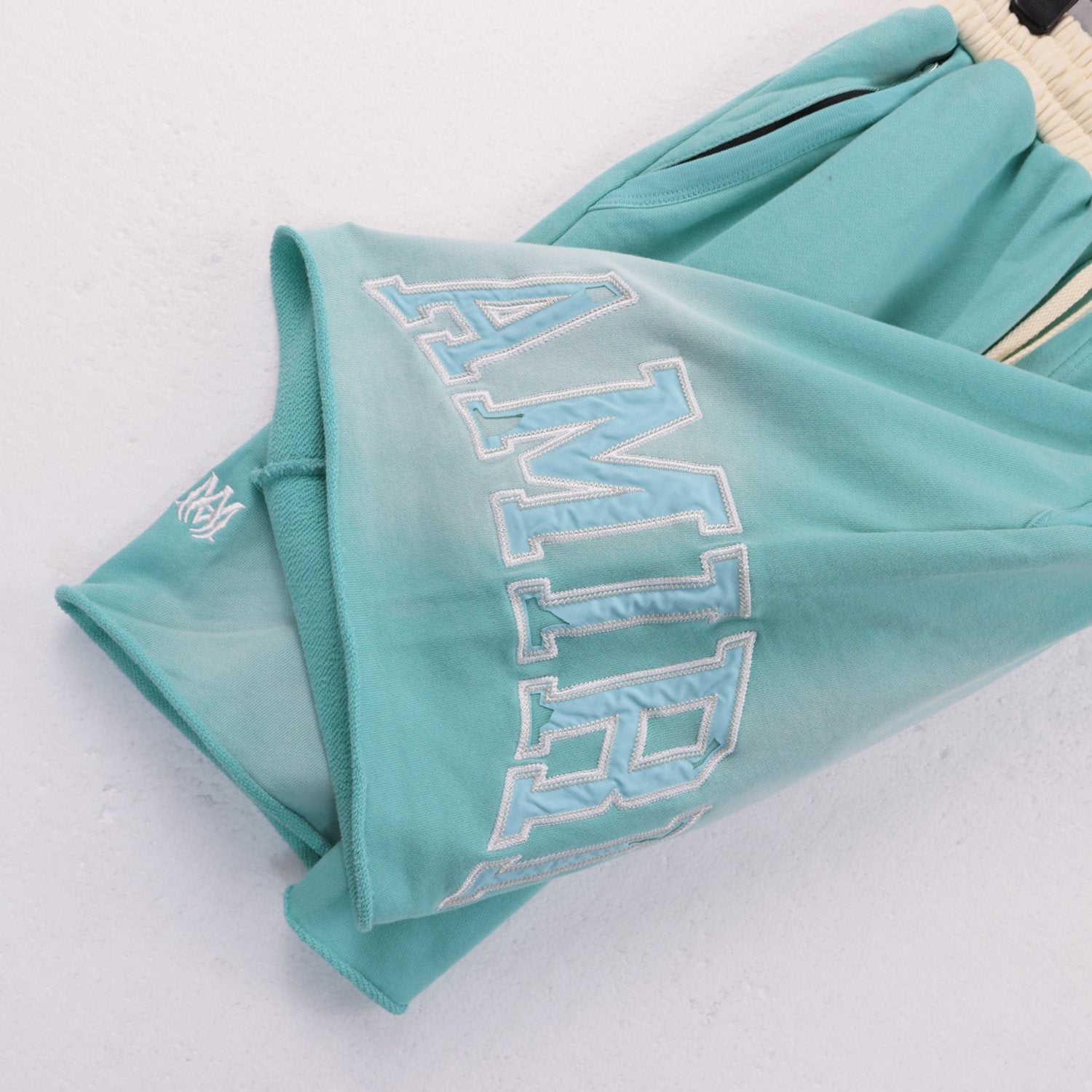 AMIRI Vintage Collegiate Graphic Shorts — detail