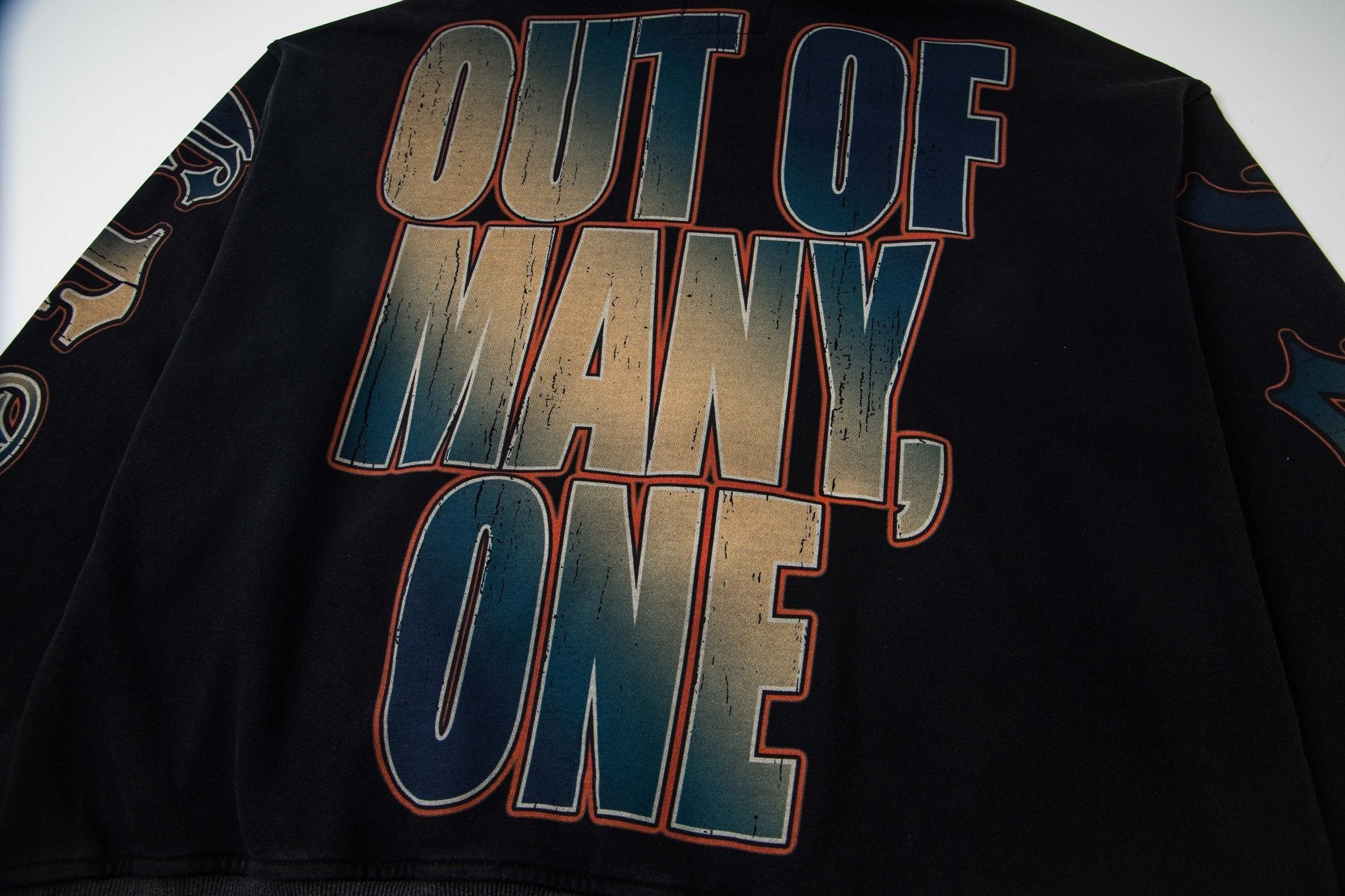 Godspeed Out of Many One Graphic Hoodie — detail