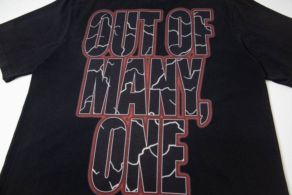 Godspeed Out of Many, One Skull Graphic T-Shirt — detail