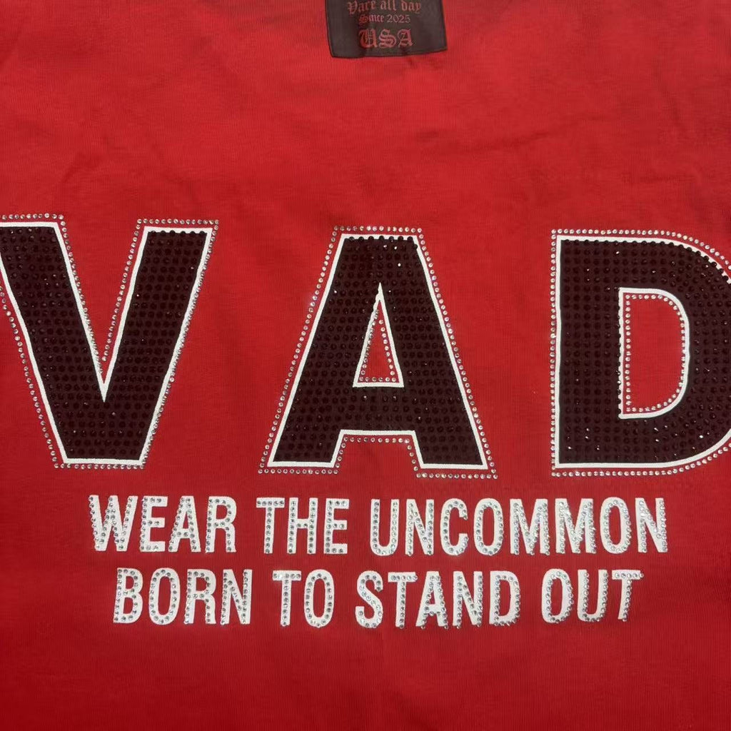 VARE ALL DAY Red Color Block Graphic T-Shirt — detail