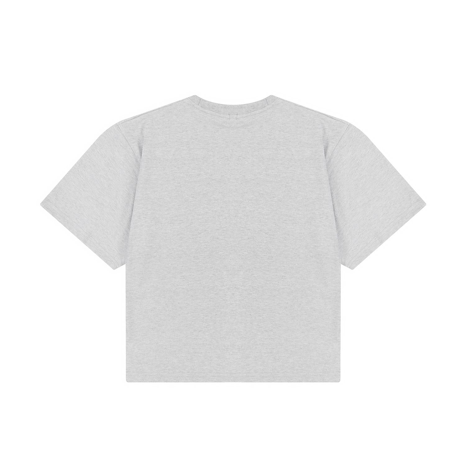Test2-Ralph Lauren Women's Oversized Drop-Shoulder Pony Embroidered T-Shirt — back