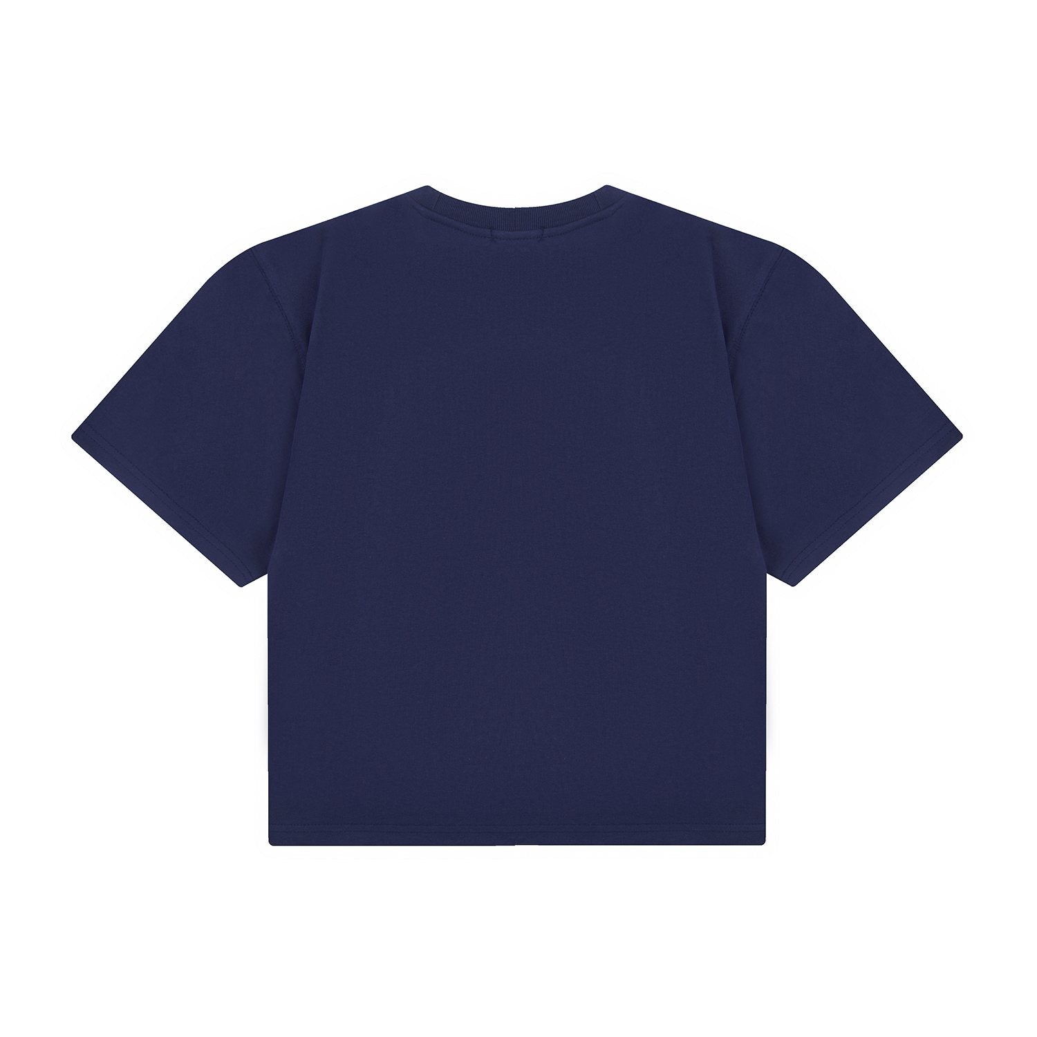 Test2-Ralph Lauren Women's Oversized Drop-Shoulder Pony Embroidered T-Shirt — back