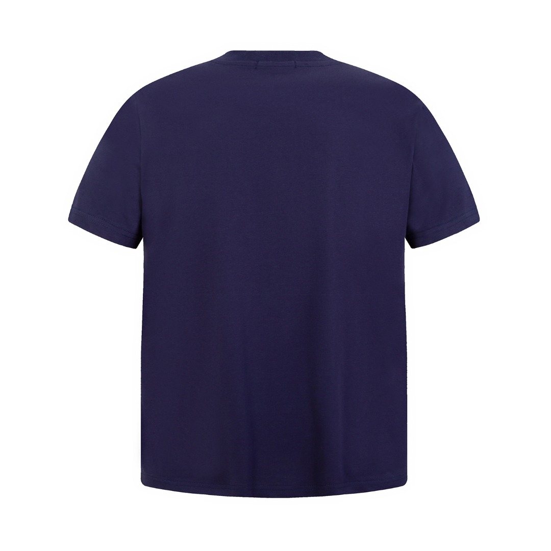 Test2-Ralph Lauren Embroidered Three-Button Henley Shirt — back